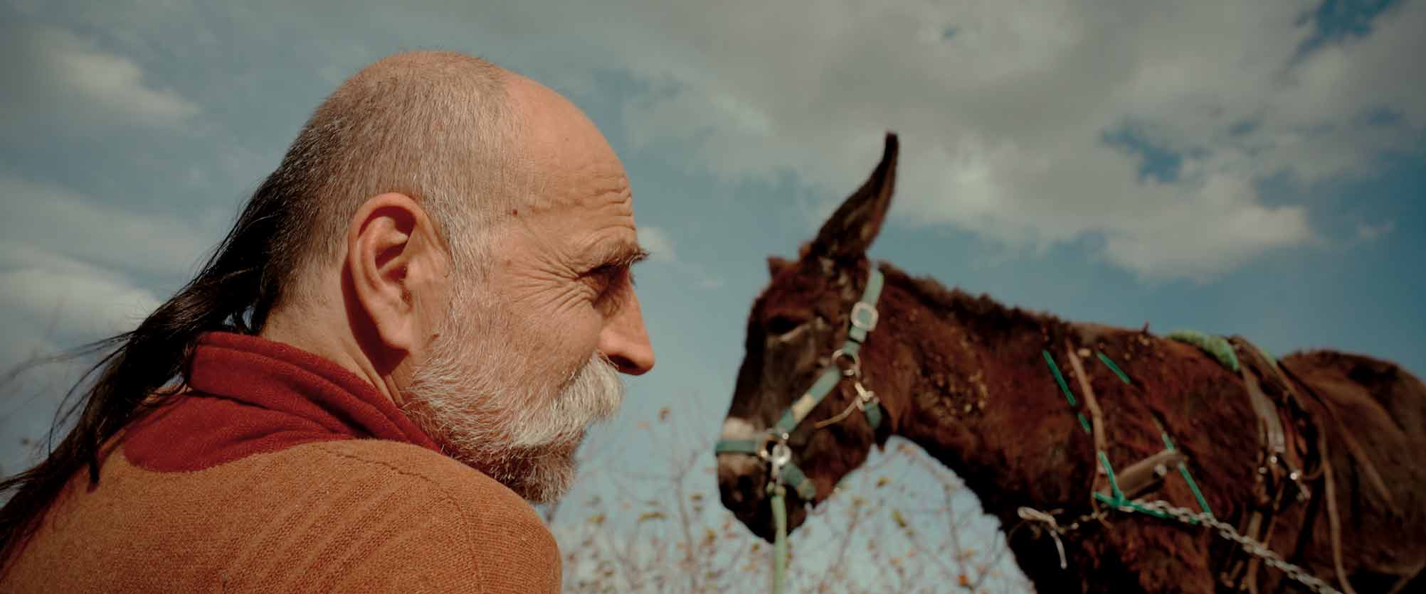 Screenshot-2024-08-23-103324