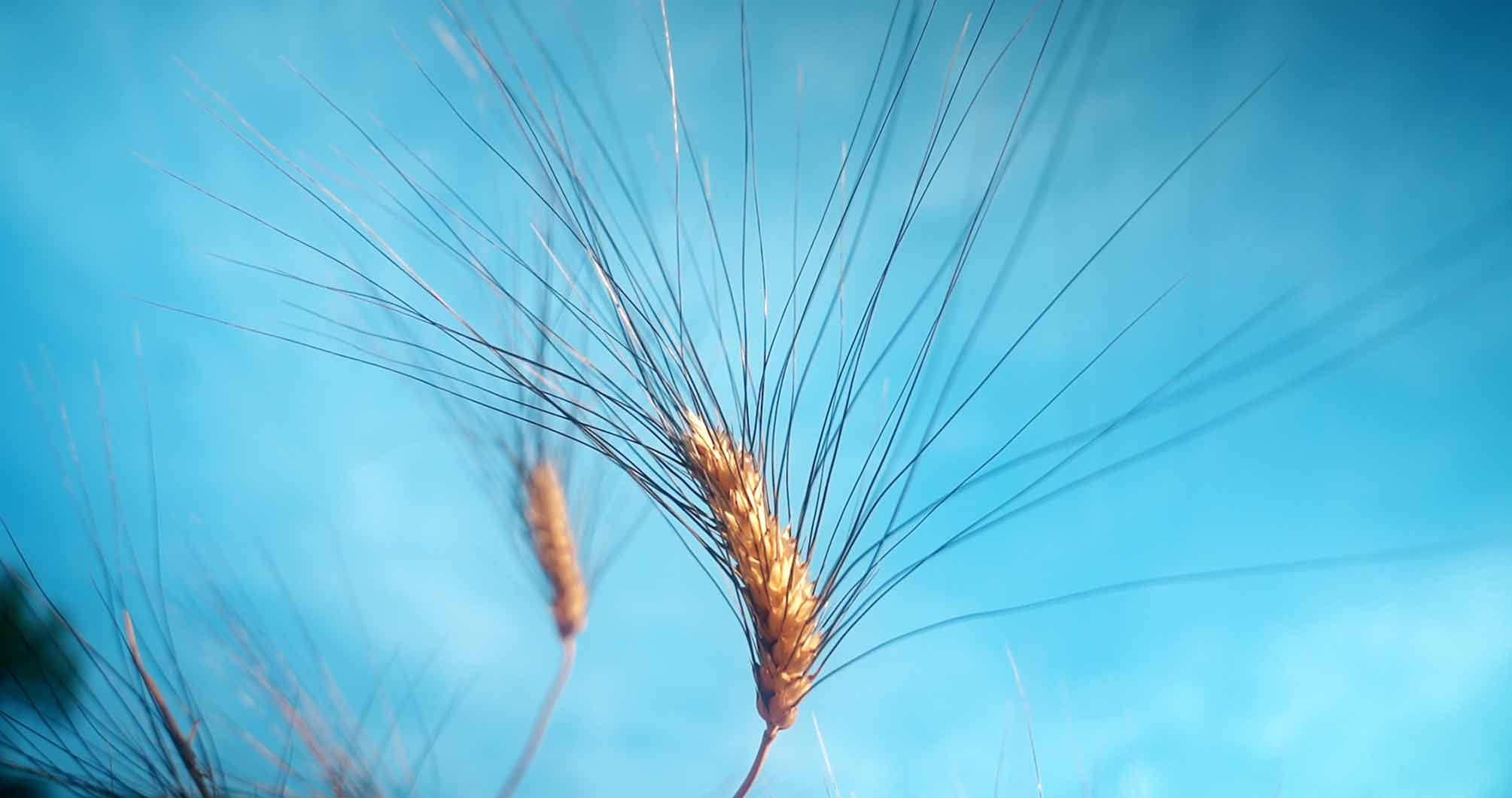 Screenshot-2024-08-23-103503